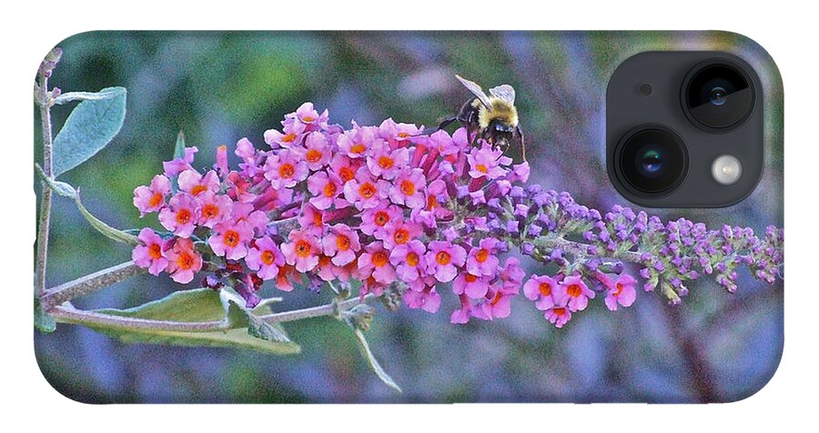 Bumble Bee iPhone 14 Case featuring the photograph Bee at Brunch by Janis Senungetuk
