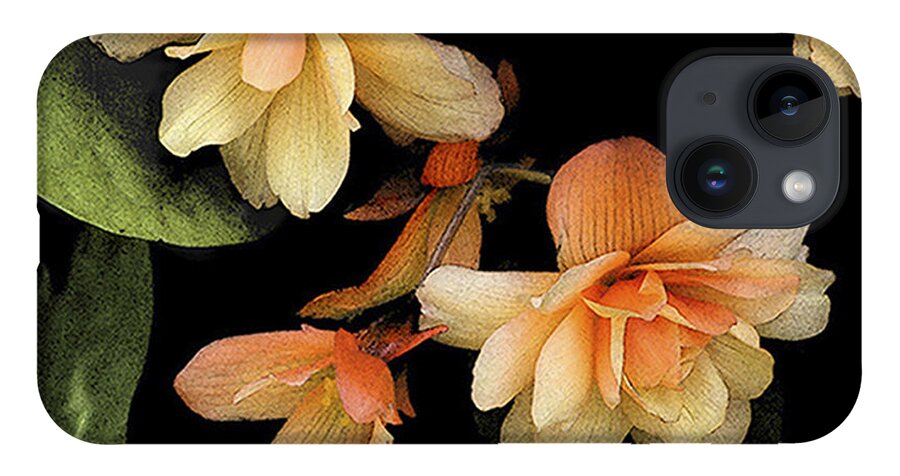 Apricot Begonias; Flowers; Garden Plants; Gardens; Plants; Nature iPhone 14 Case featuring the photograph Begonias 2 by Janis Senungetuk