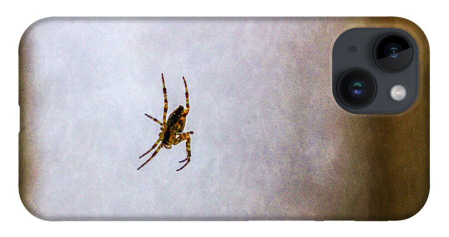 Bonnie Follett iPhone 14 Case featuring the photograph Belly of the spider by Bonnie Follett