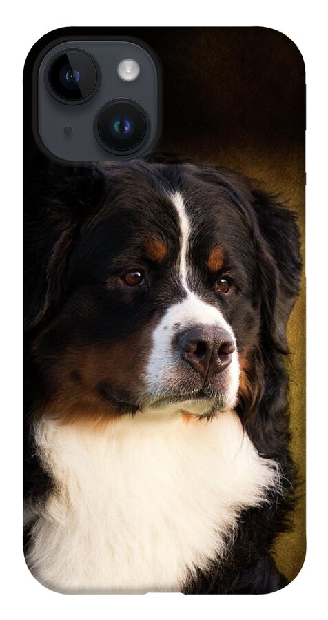 Bernese iPhone 14 Case featuring the photograph Bernese Mountain Dog by Diana Andersen