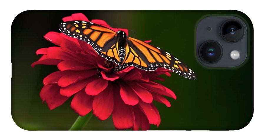 Butterfly iPhone 14 Case featuring the photograph BFF by Jeff Cooper