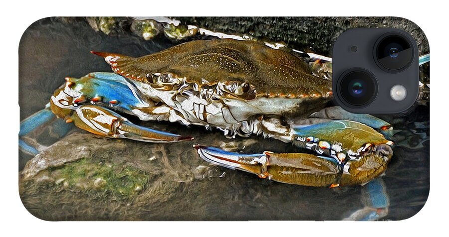 Crab iPhone 14 Case featuring the photograph Big Blue by Kathy Baccari