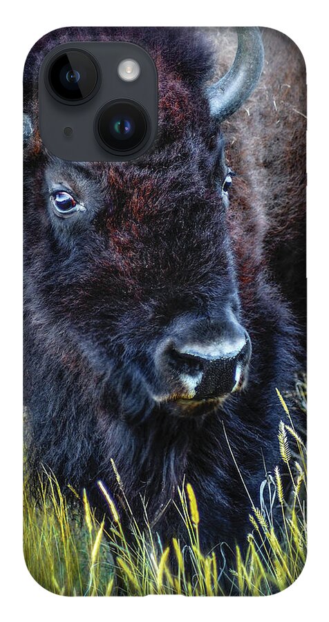 Animals iPhone 14 Case featuring the photograph Bison #3 by John Strong