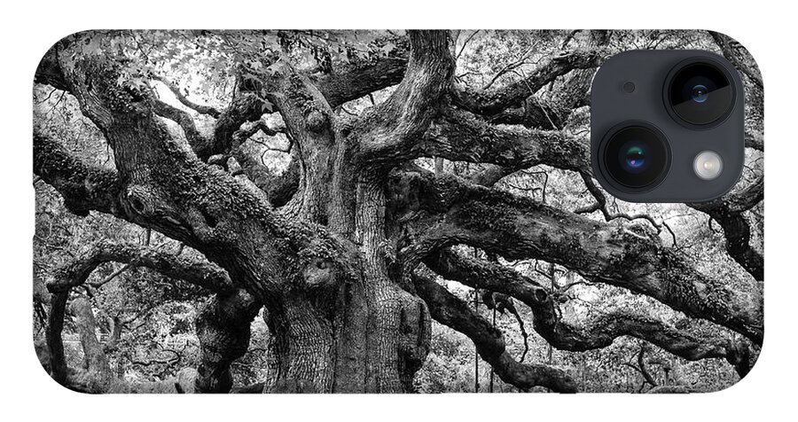 Angel Oak iPhone 14 Case featuring the photograph Black and White Angel Oak Tree by Louis Dallara