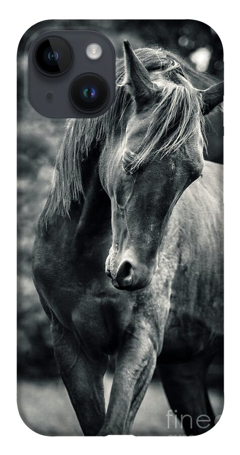 Horse iPhone 14 Case featuring the photograph Black and white portrait of horse by Dimitar Hristov