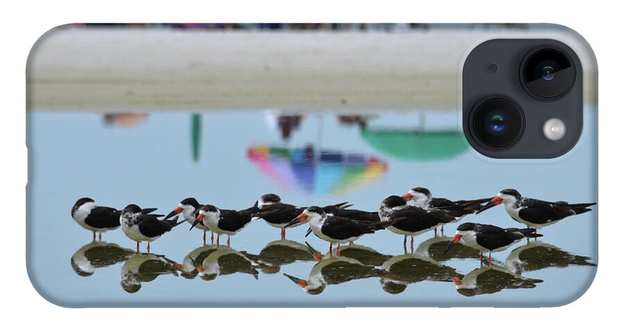 Bird iPhone 14 Case featuring the photograph Black Skimmers Enjoying the Beach by Artful Imagery