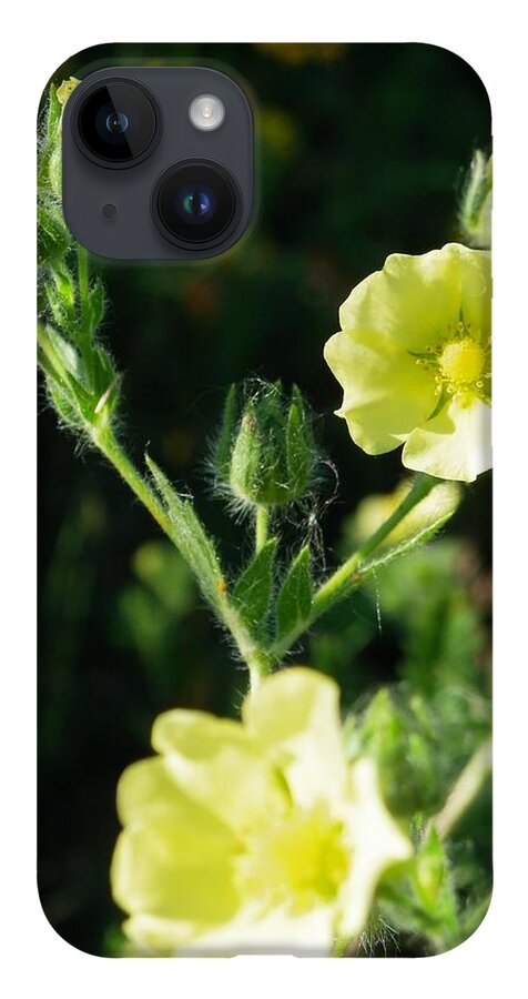 Nature iPhone 14 Case featuring the photograph Bloomin Happy 1 by Peggy King