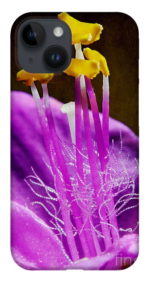 Purple Heart Flower iPhone 14 Case featuring the photograph Blooming Purple Heart by Michael Eingle