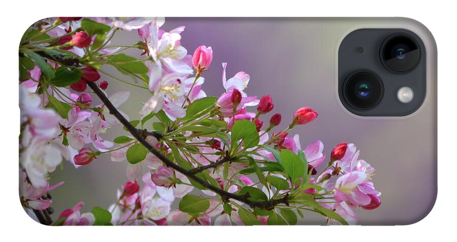 Flower iPhone 14 Case featuring the photograph Blossoms and Bokeh by Ann Bridges