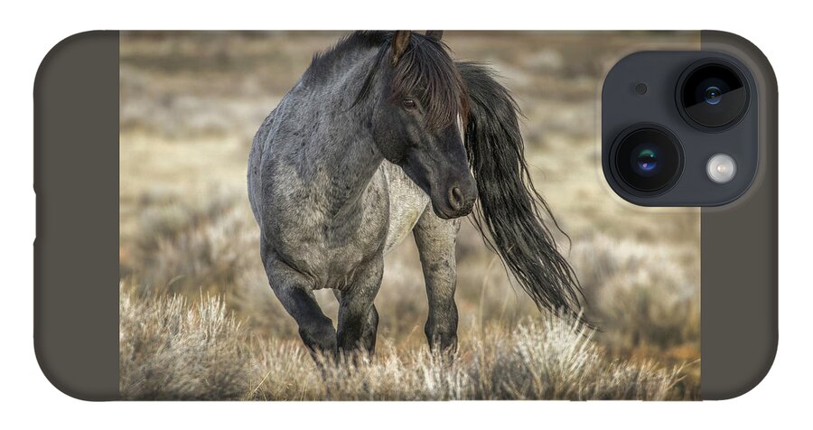 Mustang iPhone 14 Case featuring the photograph Blue by John T Humphrey