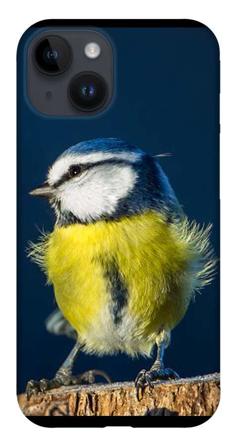 Blue On Blue iPhone Case featuring the photograph Blue on Blue by Torbjorn Swenelius