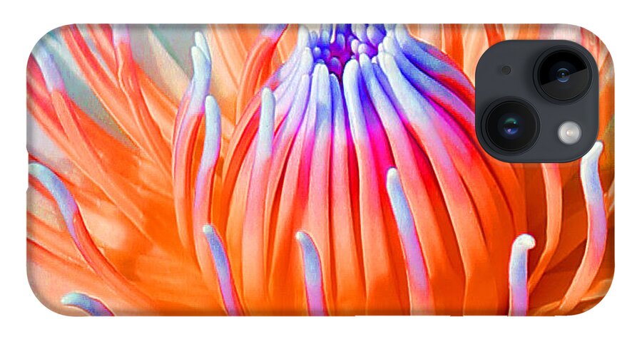 Blue Orange Lily iPhone 14 Case featuring the photograph Blue Orange Lily by Jennifer Robin