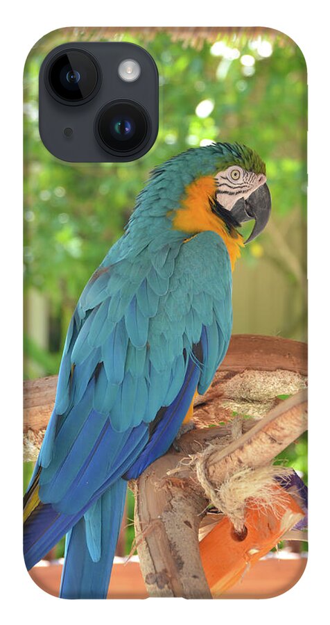 Parrot iPhone 14 Case featuring the photograph Blue Parrot with a Toy by Artful Imagery