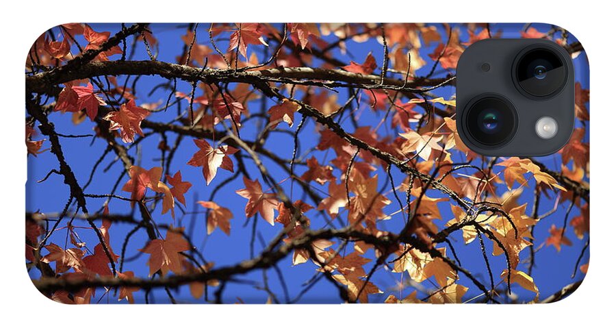 Autumn iPhone 14 Case featuring the photograph Blue Sky by Digiblocks Photography