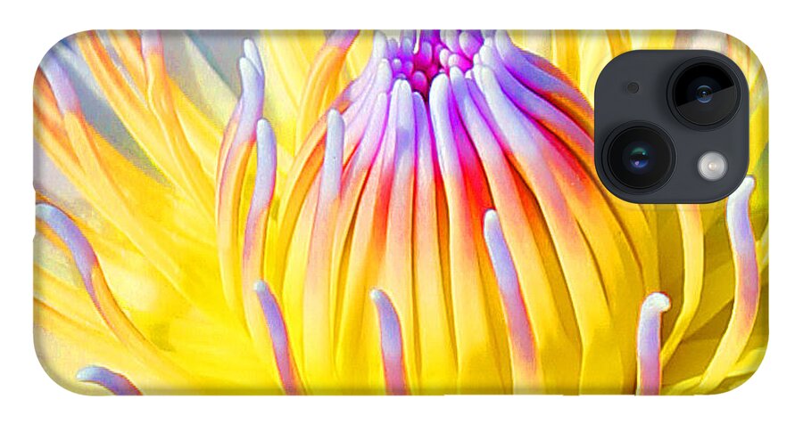 Blue Lotuses iPhone Case featuring the photograph Blue Yellow Lily by Jennifer Robin