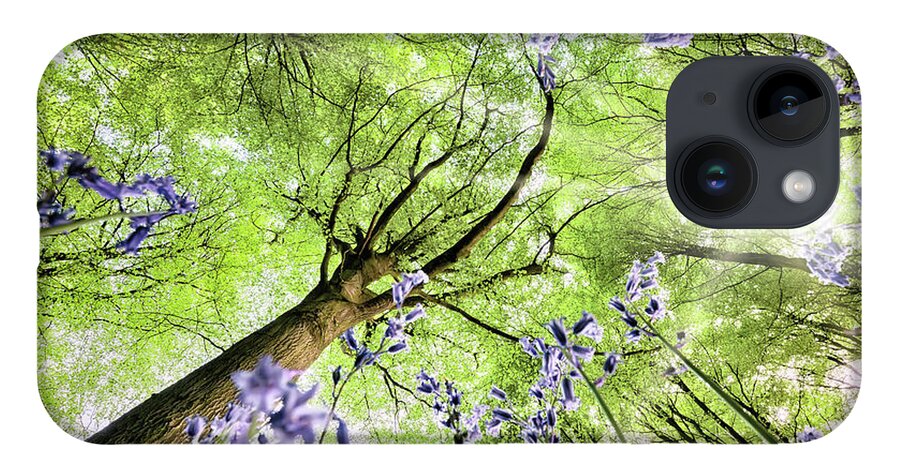 Flowers iPhone 14 Case featuring the photograph Bluebells from worms eye view by Simon Bratt