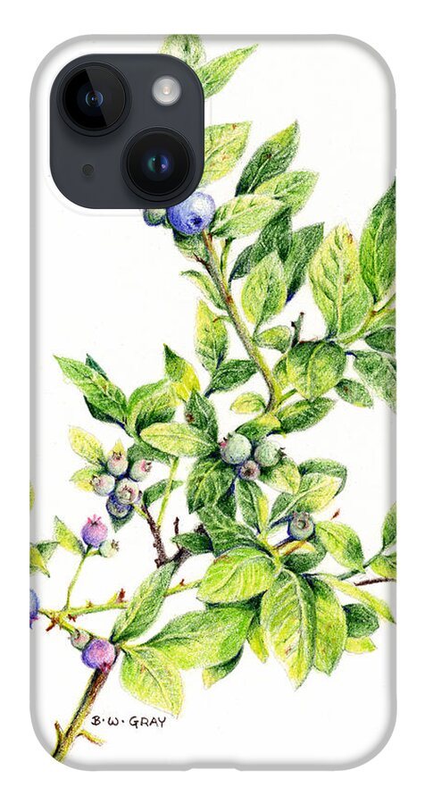 Blueberry iPhone Case featuring the drawing Blueberry Branch by Betsy Gray