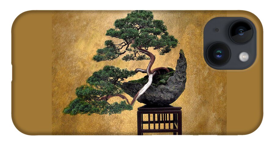 Tree iPhone 14 Case featuring the photograph Bonsai 3 by Jessica Jenney