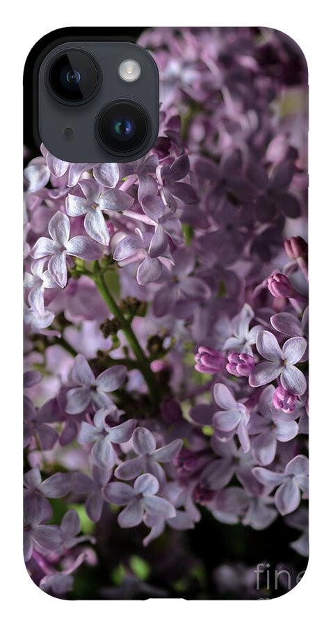 Lilacs iPhone 14 Case featuring the photograph Bouquet of Lilacs II by Tamara Becker