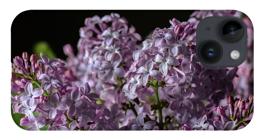 Lilacs iPhone 14 Case featuring the photograph Bouquet of Lilacs by Tamara Becker