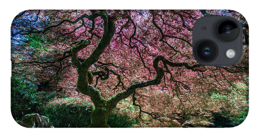 Portland Japanese Garden iPhone 14 Case featuring the photograph Branches of Love by Chuck Jason