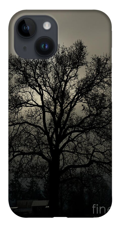 Tree iPhone 14 Case featuring the photograph Branching Out by David Hillier