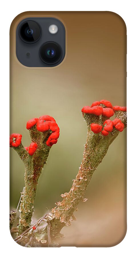 Lichen iPhone 14 Case featuring the photograph British Soldiers by Robert Charity