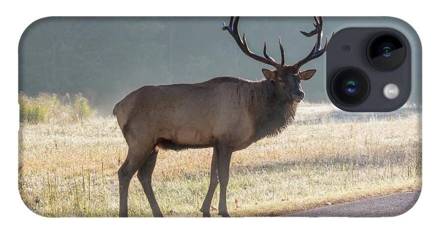 Bull iPhone 14 Case featuring the photograph Bull Elk Watching by D K Wall
