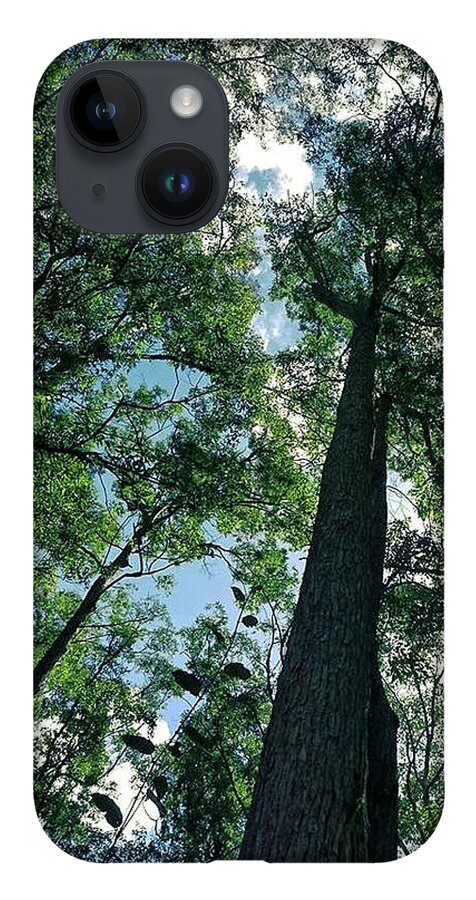 Landscape iPhone 14 Case featuring the photograph Bush Trees by Michael Blaine