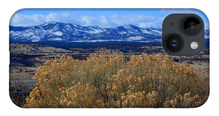 Southwest Landscape iPhone 14 Case featuring the photograph Bush with a view by Robert WK Clark