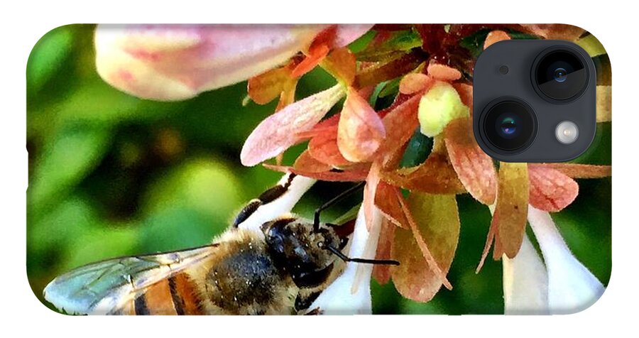 Bee iPhone Case featuring the photograph Busy As a Bee by Brad Hodges