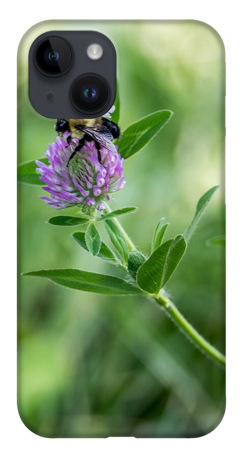 Bee iPhone 14 Case featuring the photograph Busy Bee by Holden The Moment