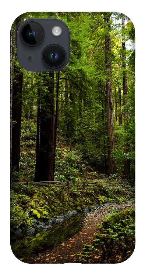 Nature iPhone 14 Case featuring the photograph By the Stream in Muir Woods by Brian Tada