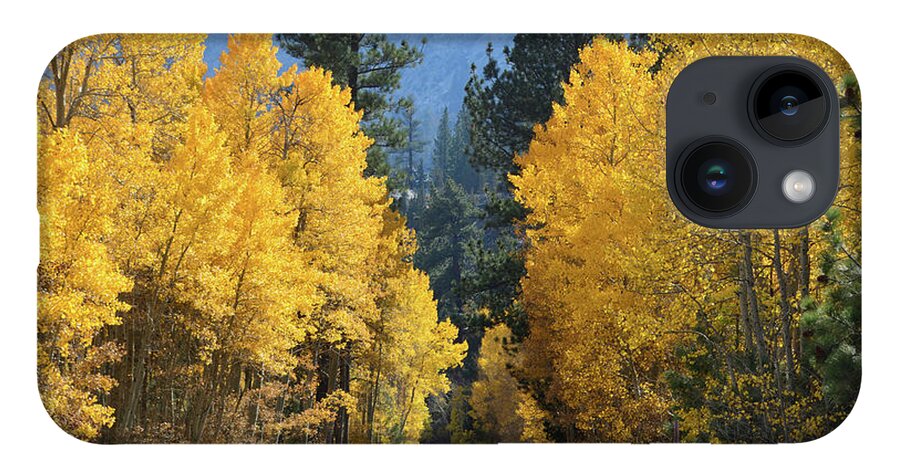 Autumn iPhone 14 Case featuring the photograph California Gold by Brian Tada