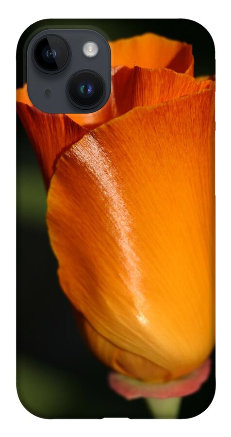 California iPhone Case featuring the photograph California Poppy by Jeff Floyd CA
