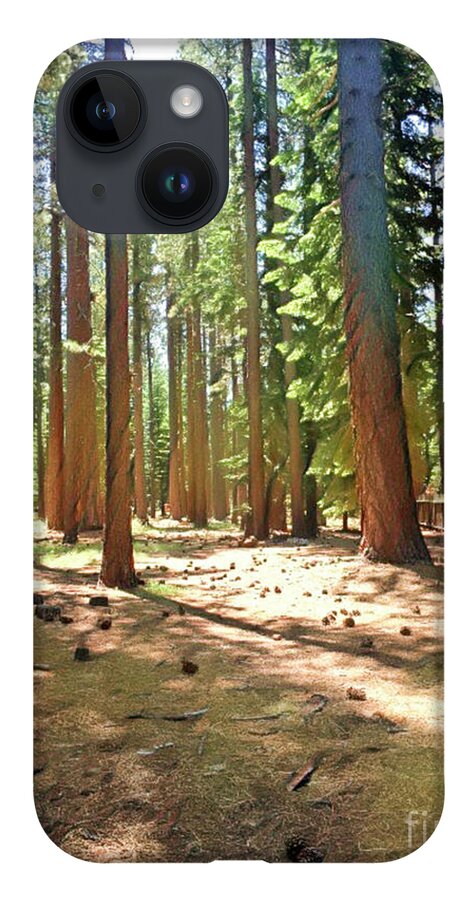 Woods iPhone Case featuring the digital art California Woods by Jackie MacNair