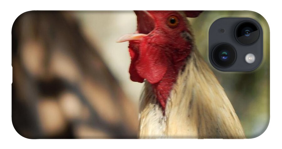 Rooster Chicken Wildlife Animals Birds Alert Warning Signal Habitat iPhone Case featuring the photograph Call To Attention by Jan Gelders