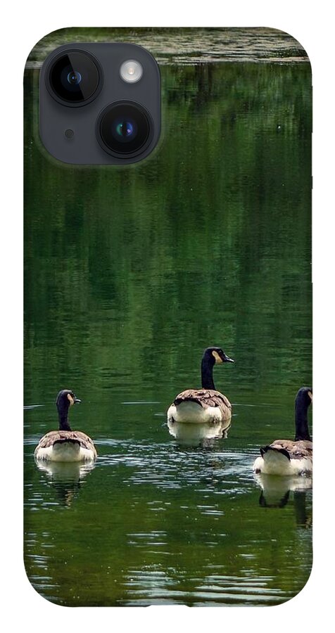  iPhone Case featuring the photograph Canada Goose Trifecta by Kendall McKernon