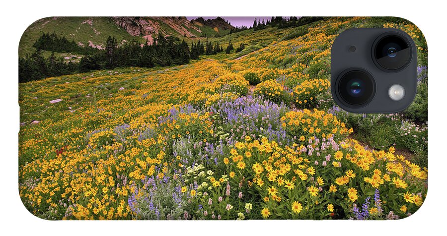 Utah iPhone 14 Case featuring the photograph Cardiff Pass Sunset and Wildflowers - Alta, Utah by Brett Pelletier
