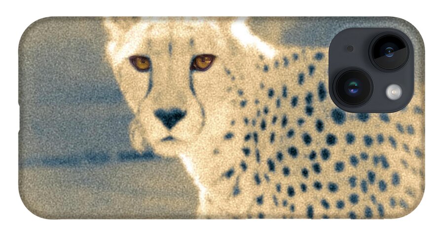 5dmkiv iPhone 14 Case featuring the photograph Cheetah by Mark Mille