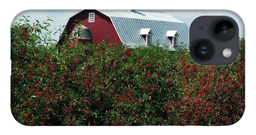 Door County iPhone 14 Case featuring the photograph Cherry Orchard and Barn by David T Wilkinson