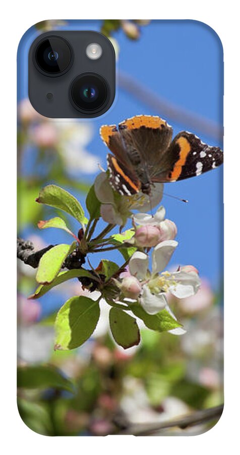 Butterfly iPhone 14 Case featuring the photograph Monarch Butterfly on Cherry Tree by Tatiana Travelways