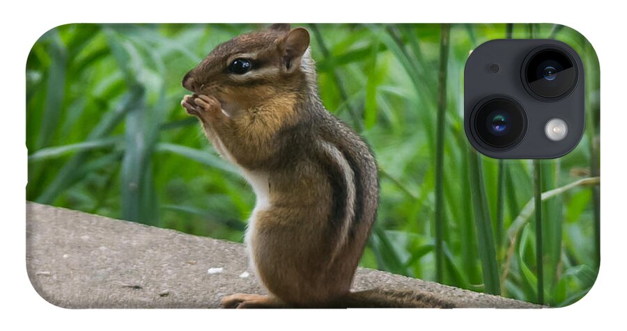 Chipmunk iPhone 14 Case featuring the photograph Chipmunk by Holden The Moment