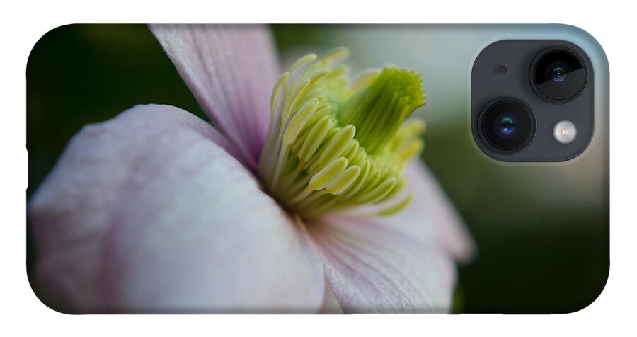 Flower iPhone 14 Case featuring the photograph Clematis flower face of Spring by Spikey Mouse Photography