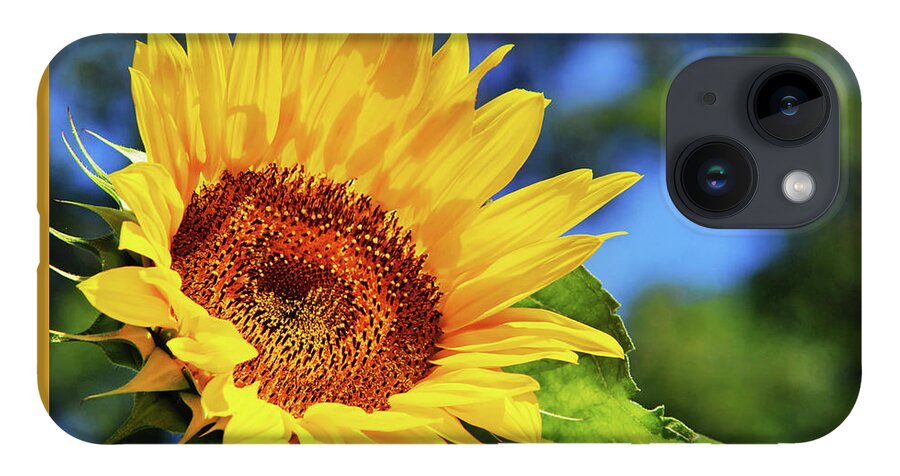 Sunflower iPhone 14 Case featuring the photograph Color Me Happy Sunflower by Christina Rollo