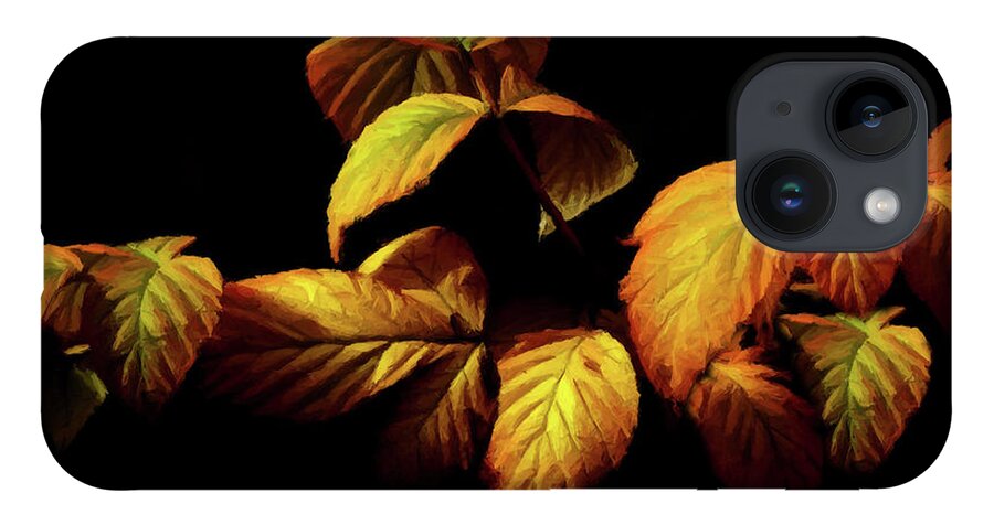 Autumn iPhone Case featuring the painting Colors of Autumn Memories by David Dehner