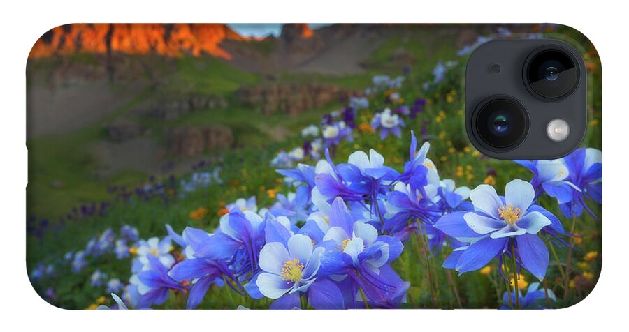 Colorado iPhone 14 Case featuring the photograph Columbine Sunrise by Darren White