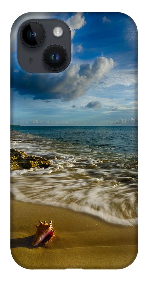 Pristine iPhone 14 Case featuring the photograph Conch Shell by Amanda Jones