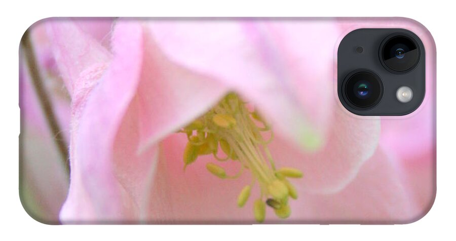 Flower iPhone Case featuring the photograph Cotton Candy by Julie Lueders 