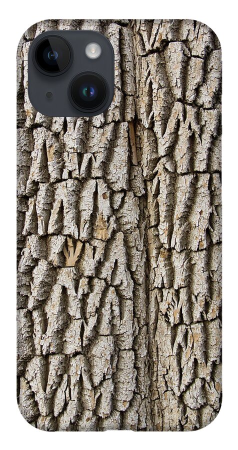 Texture Prints iPhone Case featuring the photograph Cottonwood Tree Texture Print by James BO Insogna